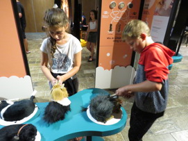 children brushing doll hair