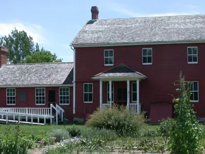 rear view of exterior of Martin House